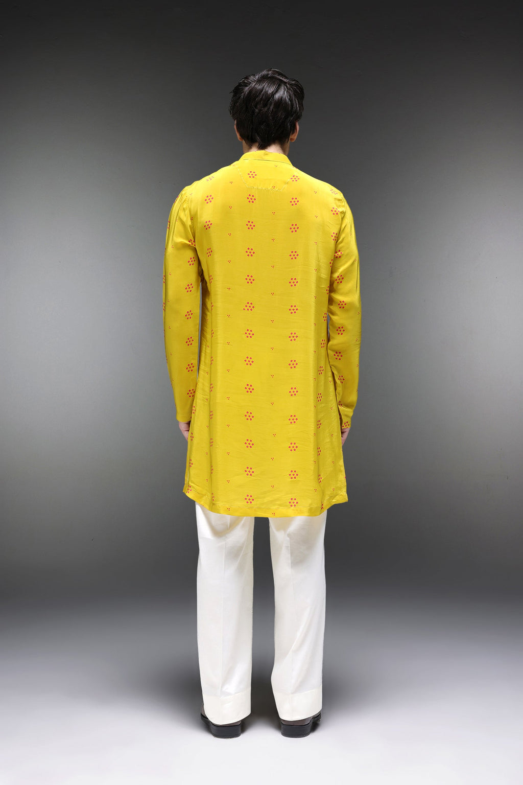 Ibha (Elephant) Bhandini - Hand Embroidered Designer Kurta - Lime Green
