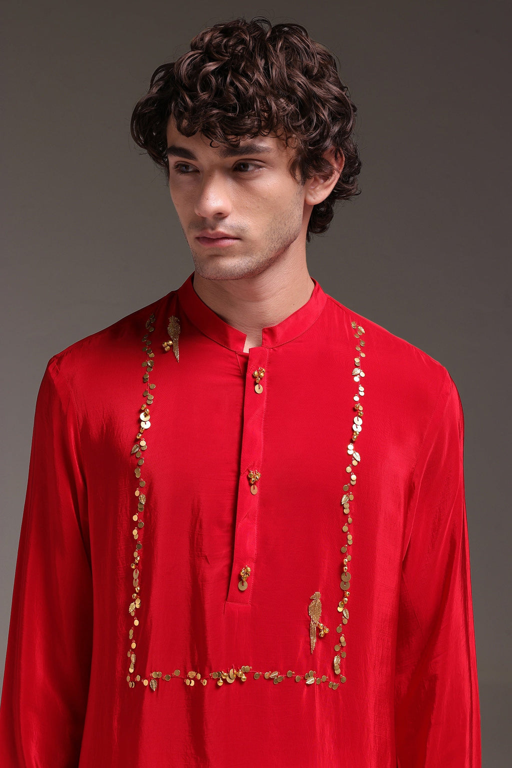 Preen(Parrot) - Hand Embroidered Designer Kurta - Red